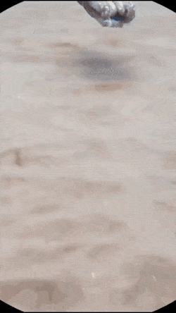 GIFs-21