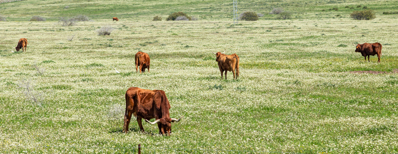 IMG_1743 (FILEminimizer)