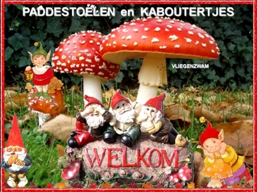 Klik op de afbeelding om de link te volgen