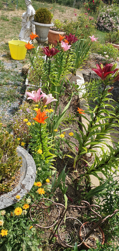 [Image: 20230627-133755.jpg]