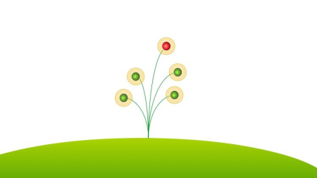 Spring Framework and Spring Boot for Java