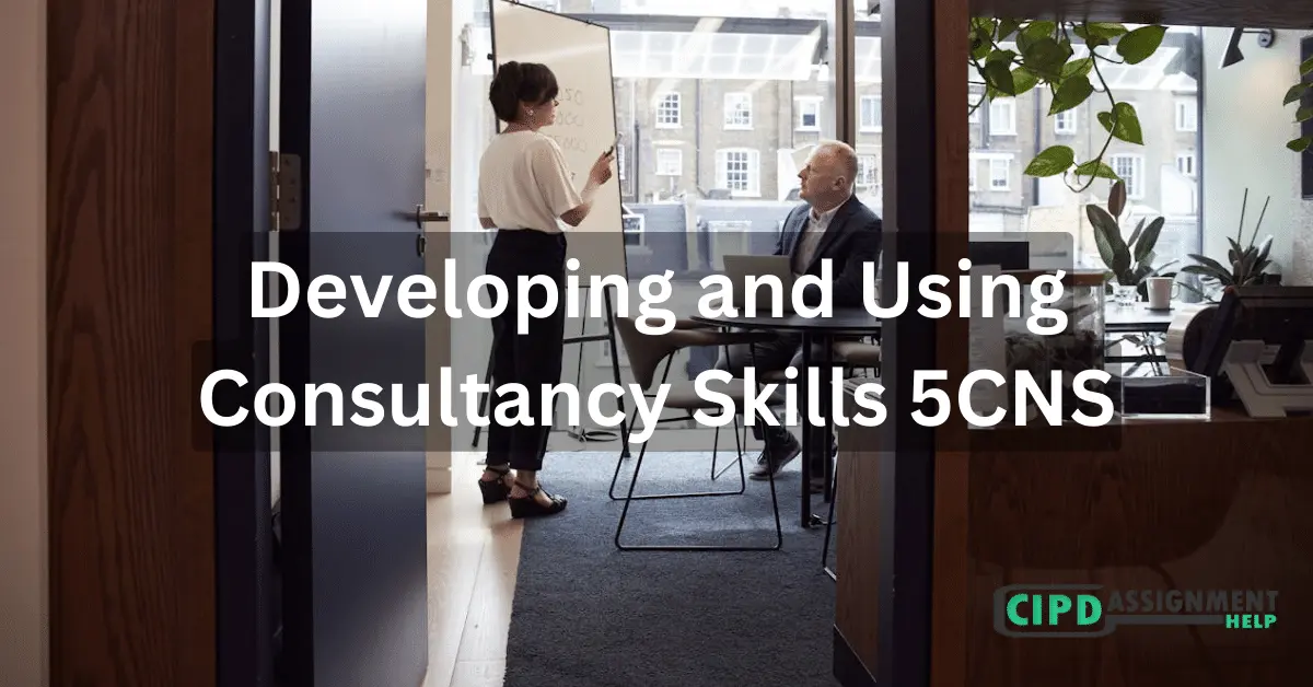 Developing and Using Consultancy Skills 5CNS