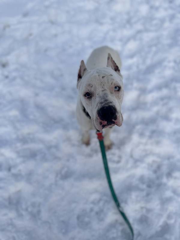 CB93BEDF-1D7E-48A5-8994-A48D0471F5AC