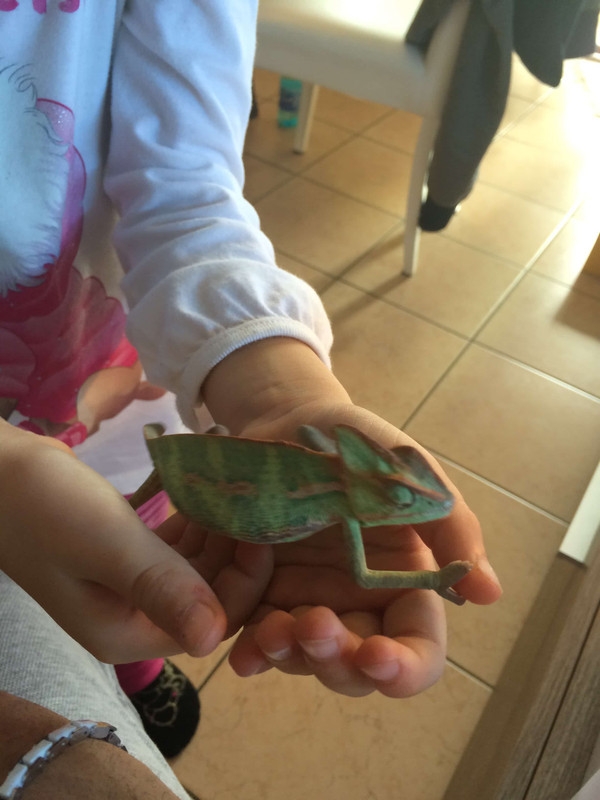 7EB00065-F0A0-4DF9-9E72-D50A498E8F3F