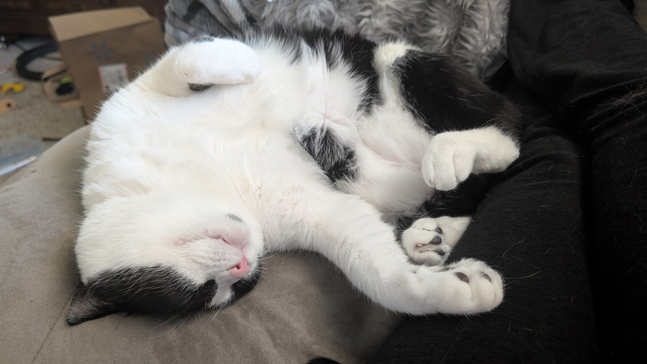 PXL 20260327 214806518