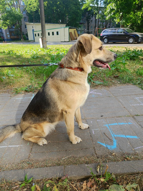 photo_2023-09-26_16-14-04 (2)