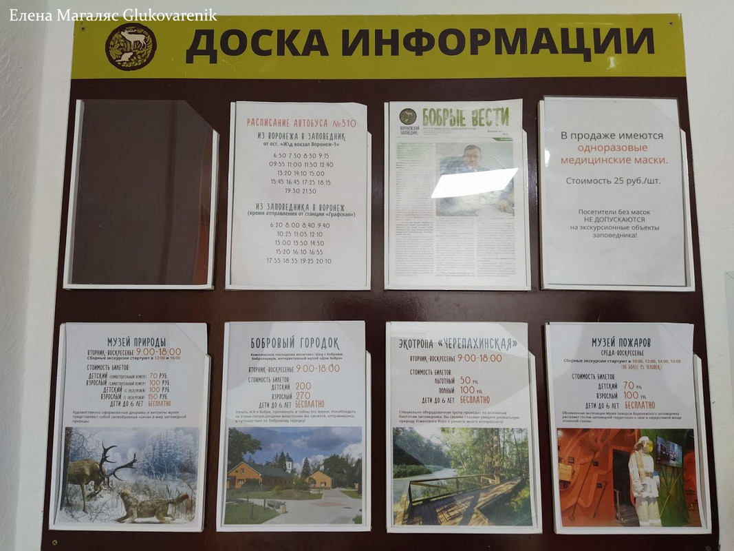 Бобры добры! Бобры добры!