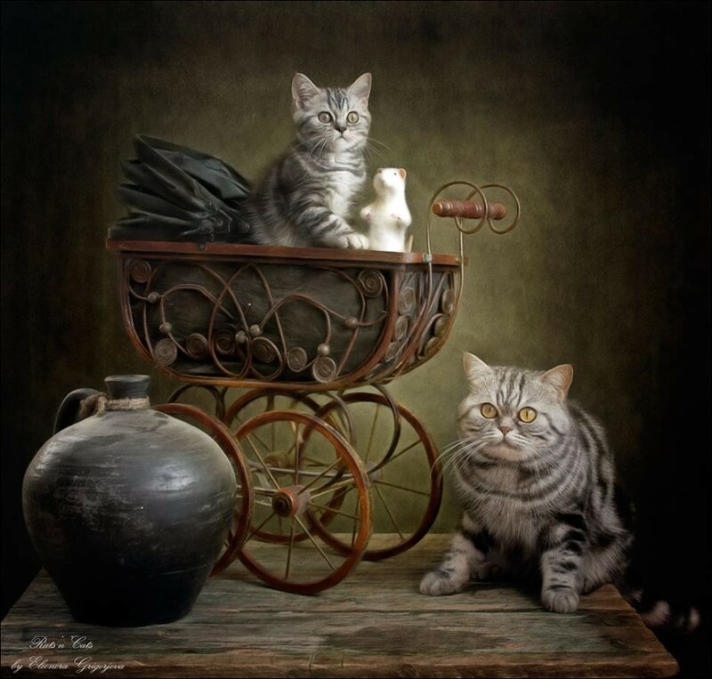 11709605-588292581274209-7137258294238132622-n