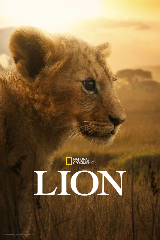 W królestwie lwa / Lion (2026) (Sezon 1) PL.2160p.DSNP.WEB-DL.DV.HDR.H265.DDP5.1.Atmos-K83 / Lektor PL