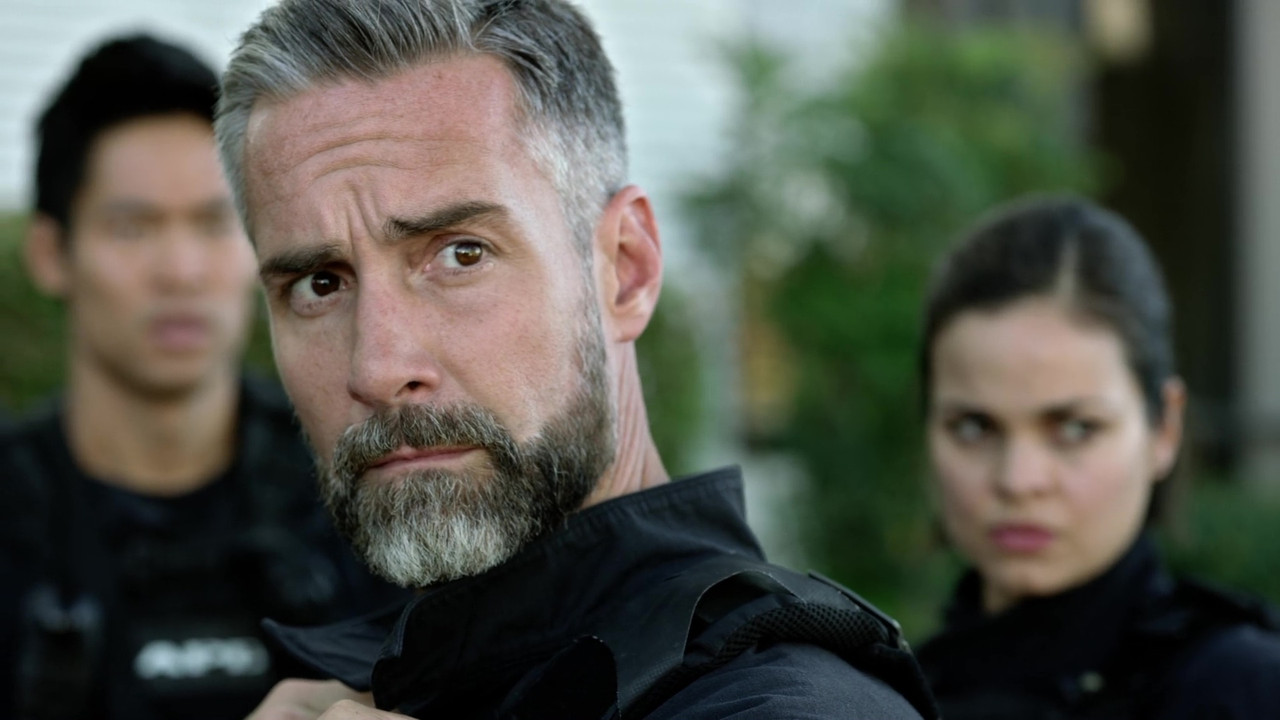 vlcsnap-2025-02-08-17h18m26s624