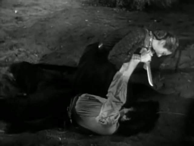 vlcsnap-2020-05-17-14h02m08s256