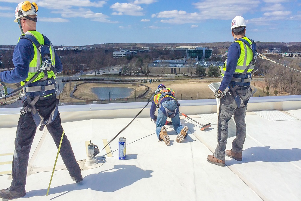 How to Implement a 3M Safety Link Fall Protection System