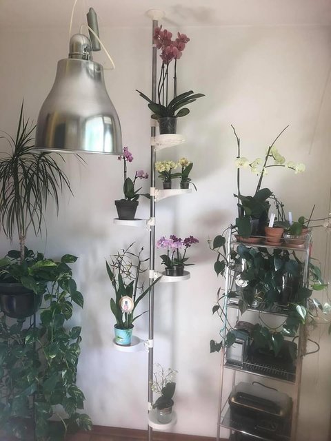 [Image: 3027724-F-FB1-F-4-F4-D-8511-EE603527111-F.jpg]