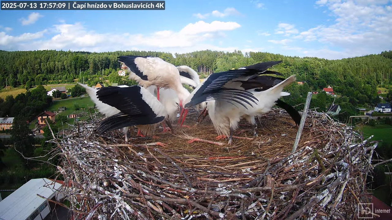 Tiešraide no KARA uzņēmuma stārķu skursteņa Bohuslavicē netālu no Trutnovas 15-24-47 screenshot