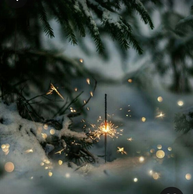 Screenshot_20231121_225246_Pinterest