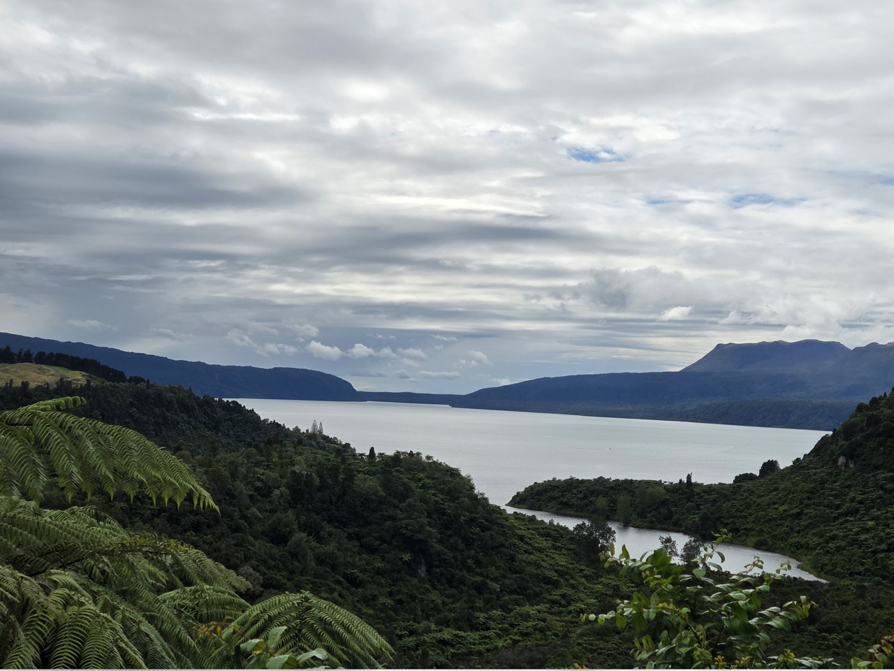 20260228 110557
