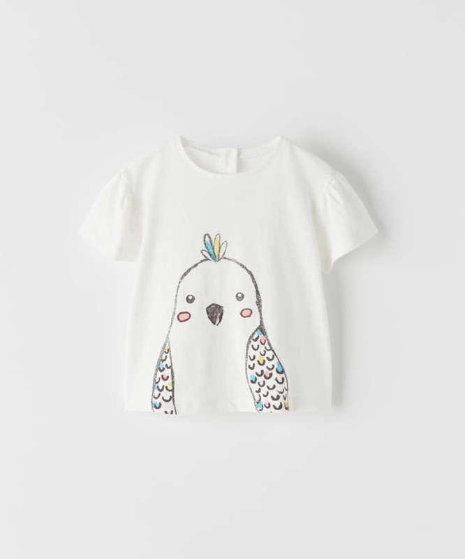 560FAEB3-C7AB-40E8-A9FA-5259395A4033