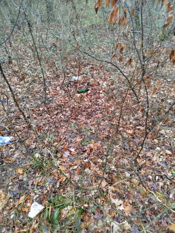 IMG 20251202 110129