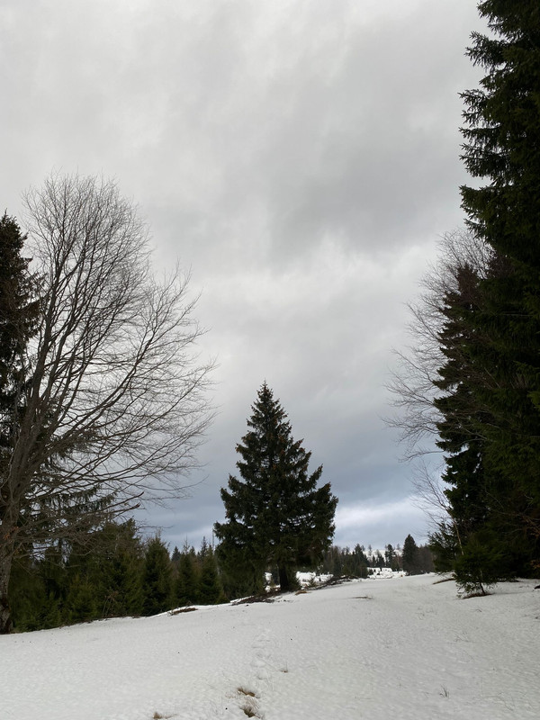 IMG-20230219-WA0014 (1)