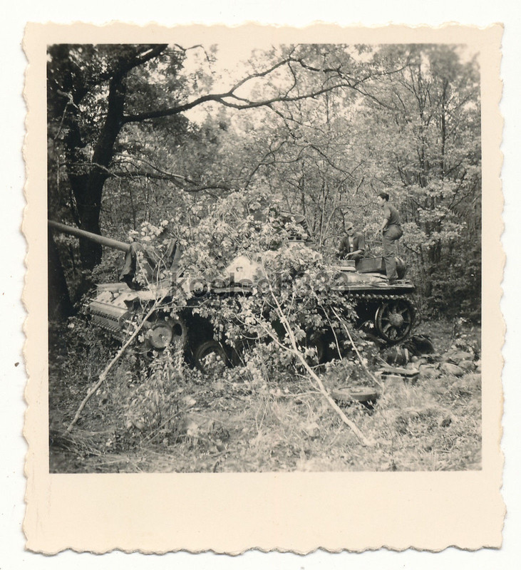 Foto Sturmgeschütz Panzer  Langrohr  eingetarnt 