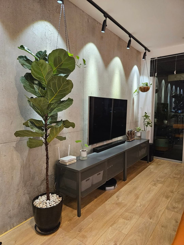 FB_IMG_1748574550859