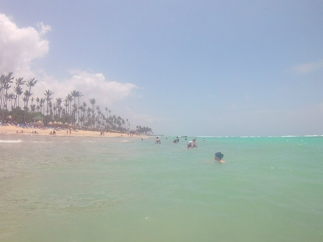 DIA 3 - HOTEL GRAND SIRENIS PUNTA CANA - Hotel Grand Sirenis Punta Cana + Samana + Cortecito (28)