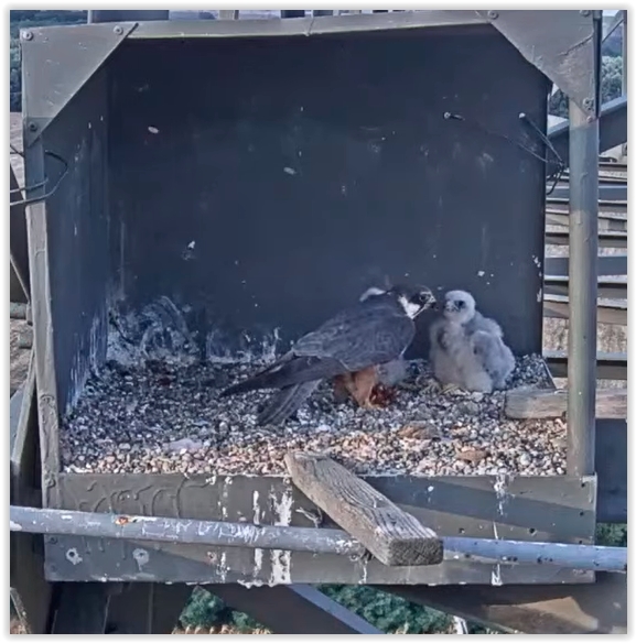 Screen Shot 07-27-22 at 07.00 PM