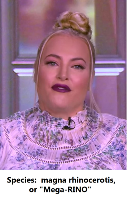 meghan-mccain-01