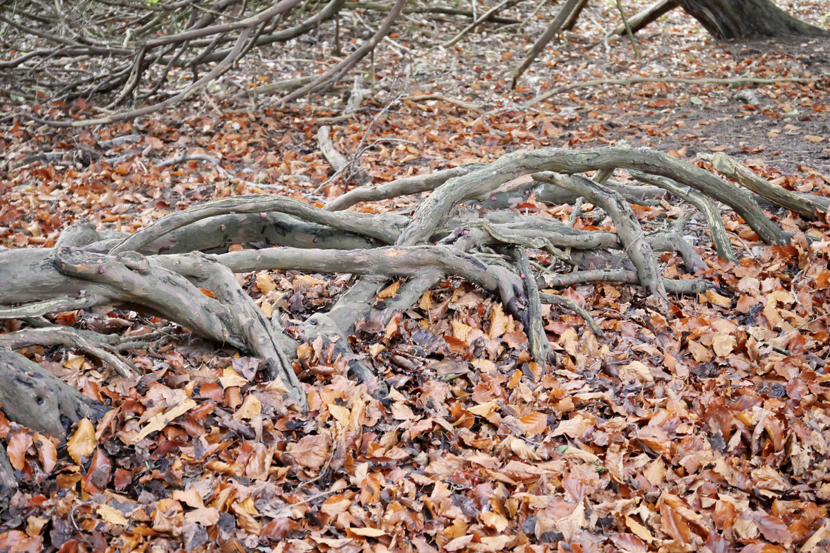 9CA8CE5C-75BF-48CA-92C3-6F50D32C0445