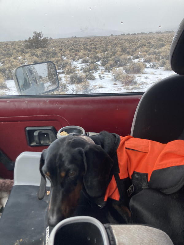 7E0E3BF8-2010-48A8-AAD4-44AF0BCA25FD