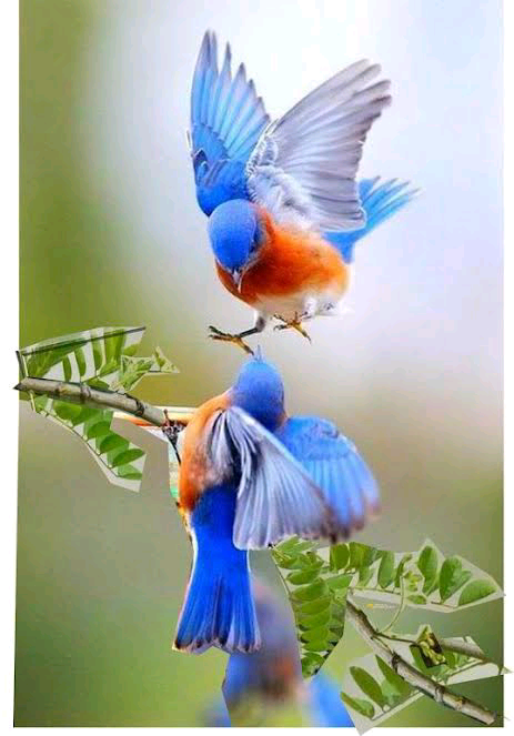 قصص الأنبياء