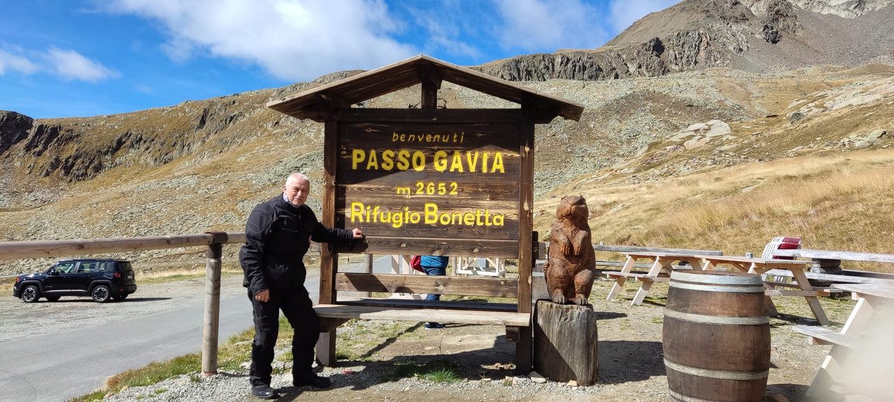 gavia-1