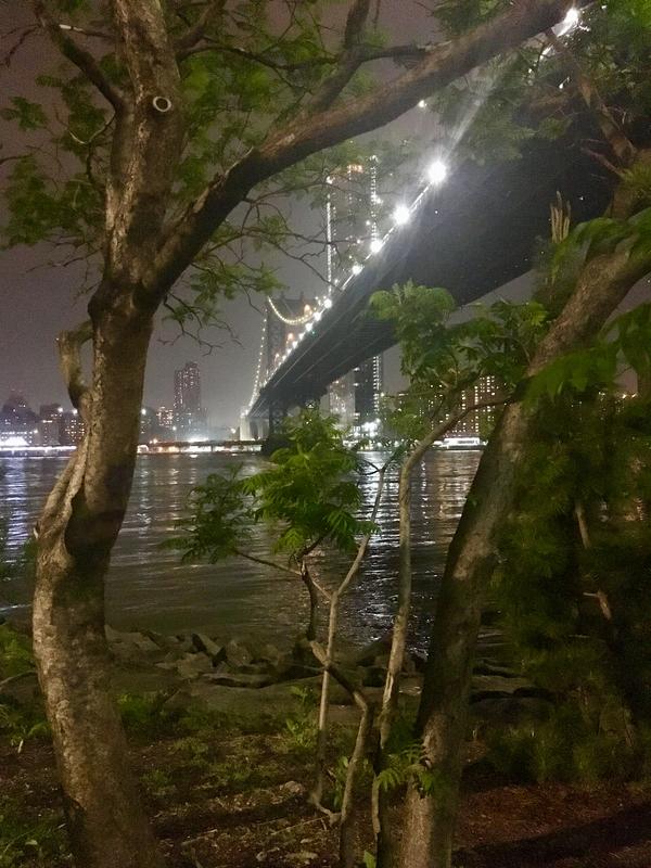 94E53674-0B5A-413B-8D47-16FA3F827999