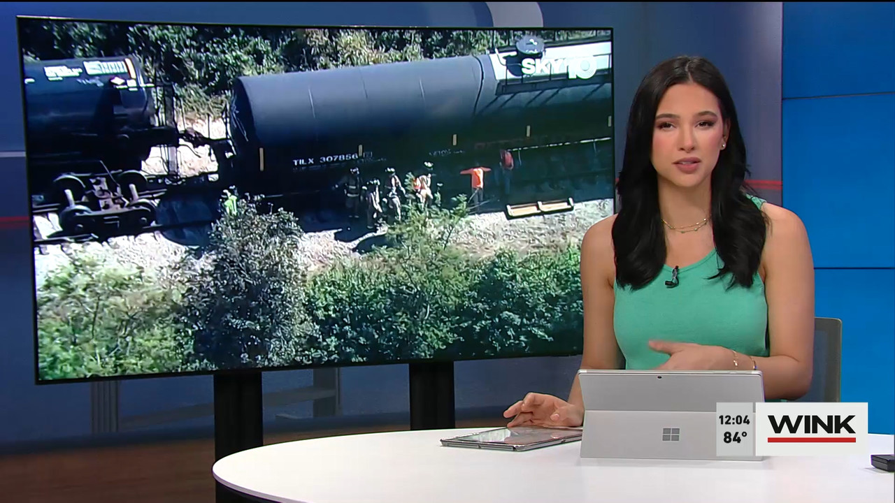 03.01 - 17.00.00 - The WINK Noon News  ᴺᵉʷ. Midday news update..ts_snapshot_10.26.198
