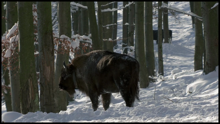 [Image: 3x56ilbqypz4.png]