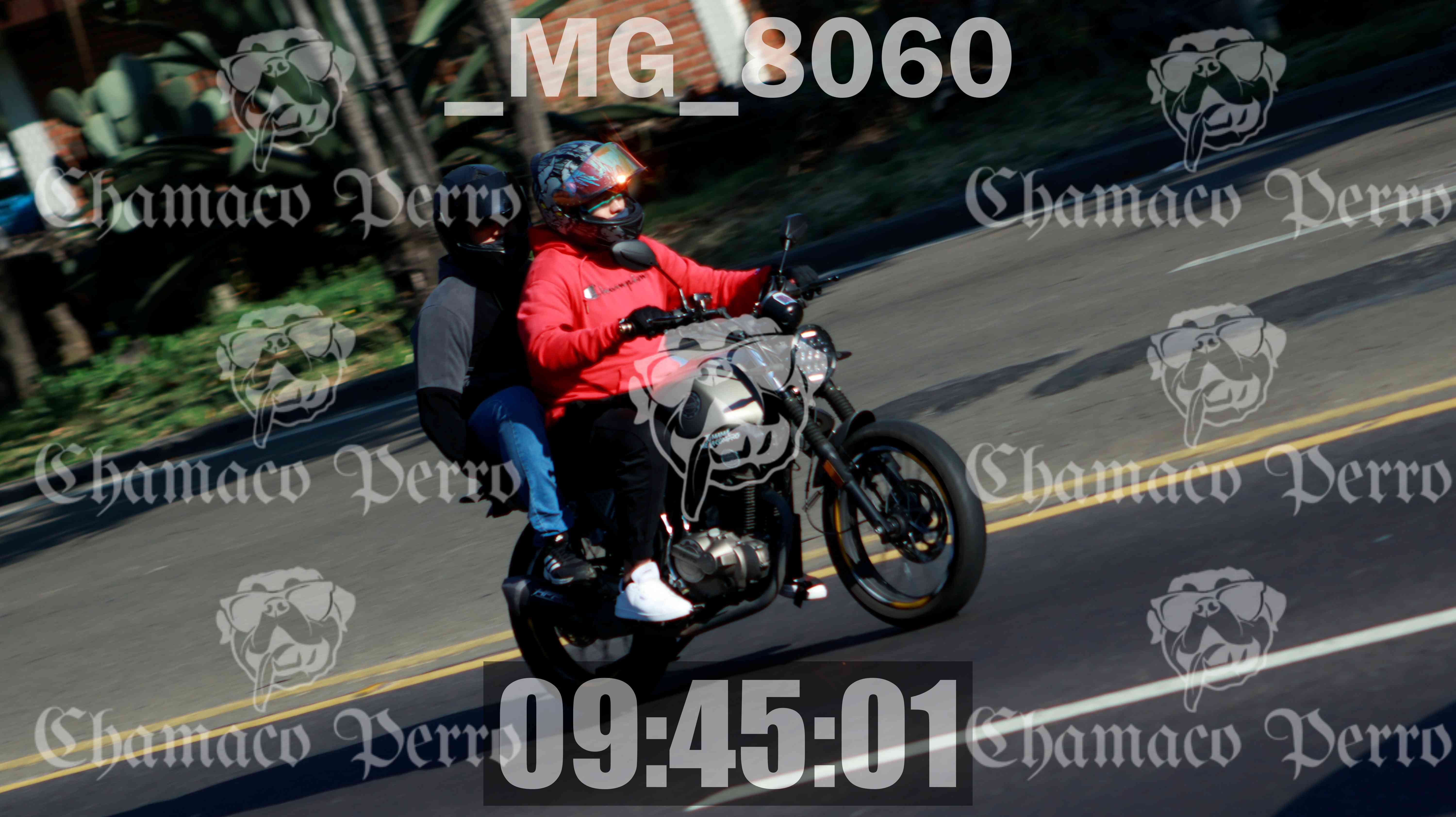 MUESTRA MG 8060 — Postimages