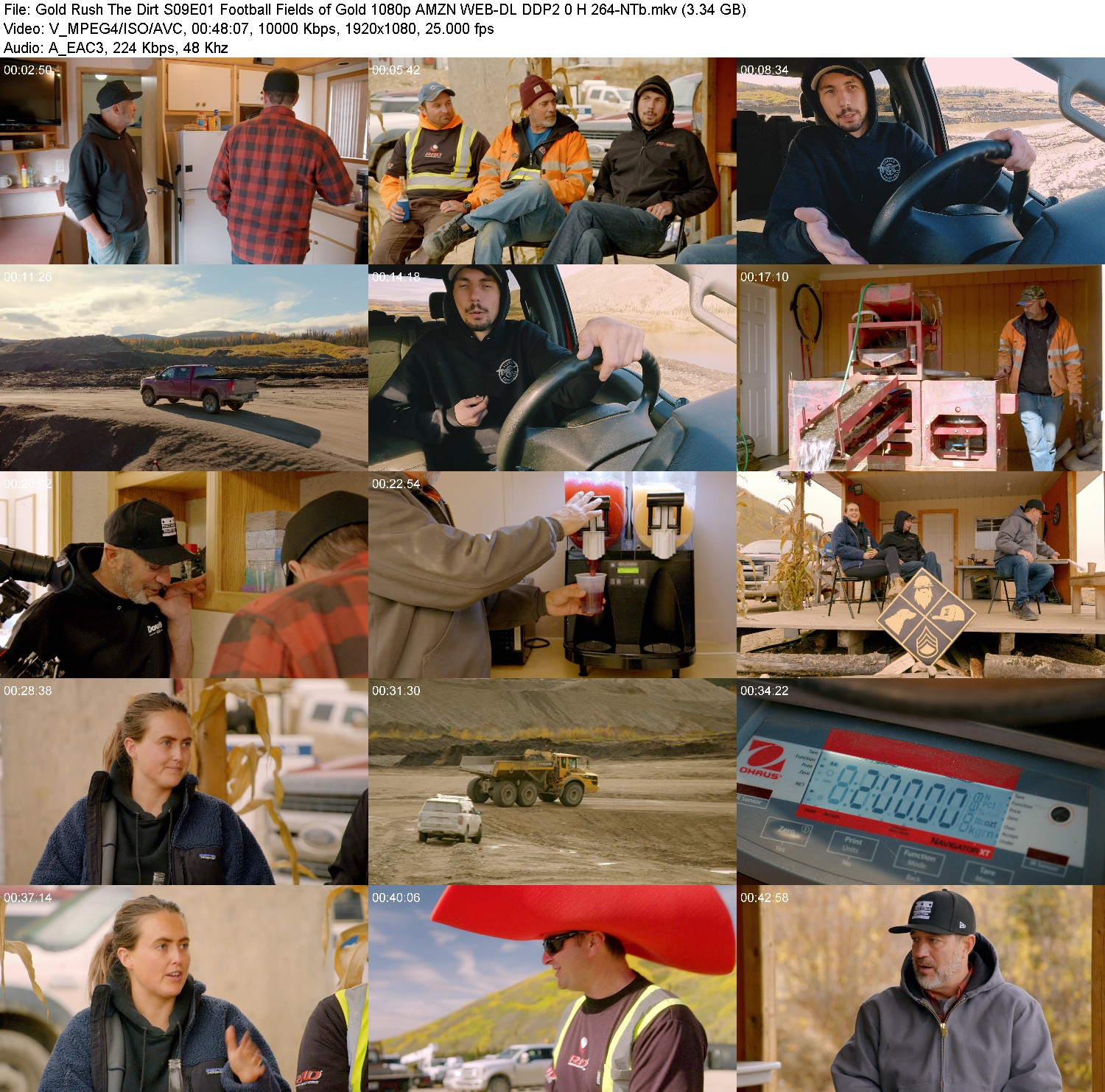 [Image: kl91pe6mt8zf.jpg]