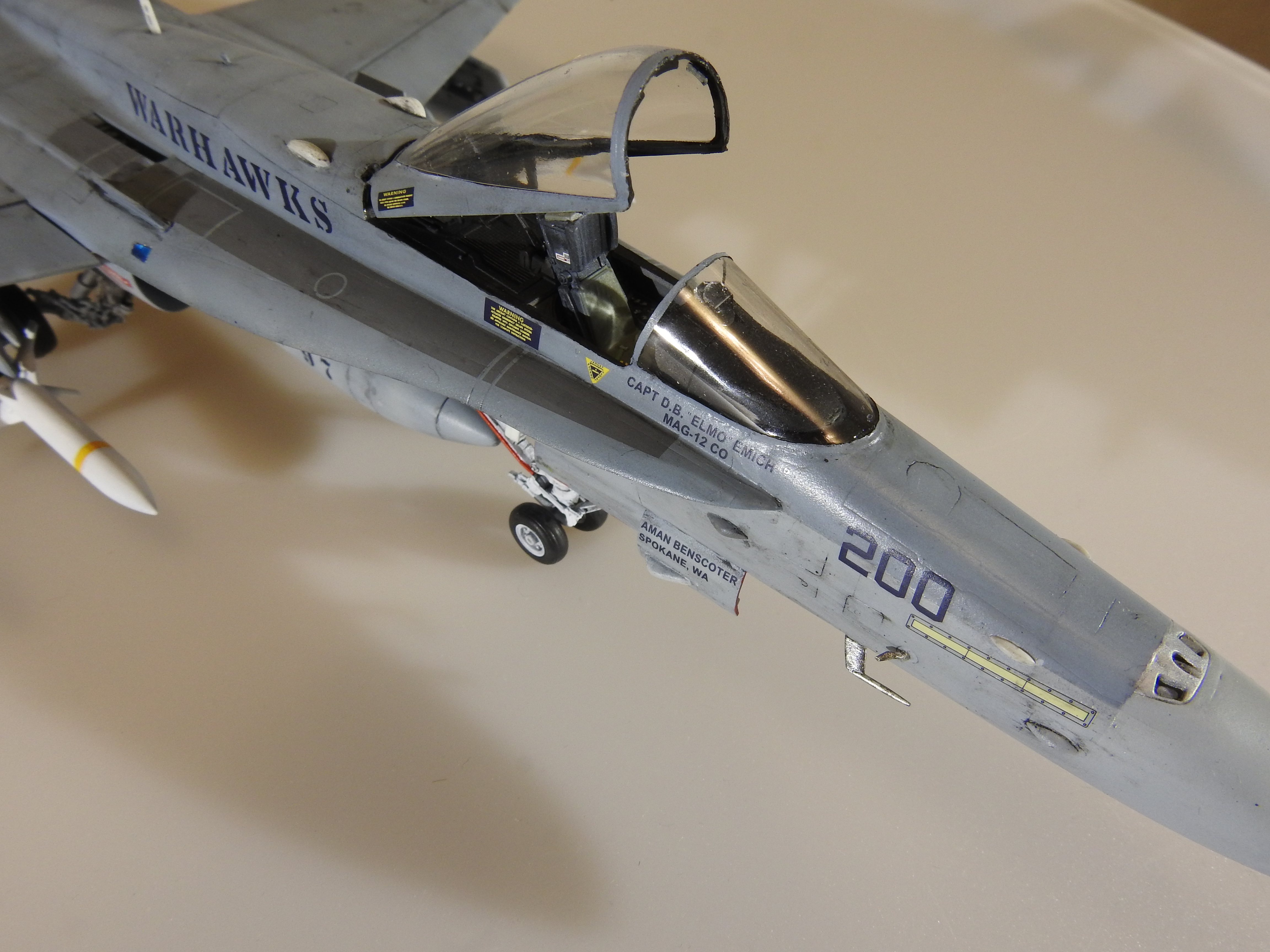 F/A-18C Hasegawa 1/48 - Klar DSCN8911