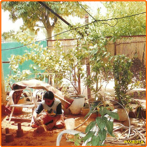 [Image: 81cndhx2rbs7.png]