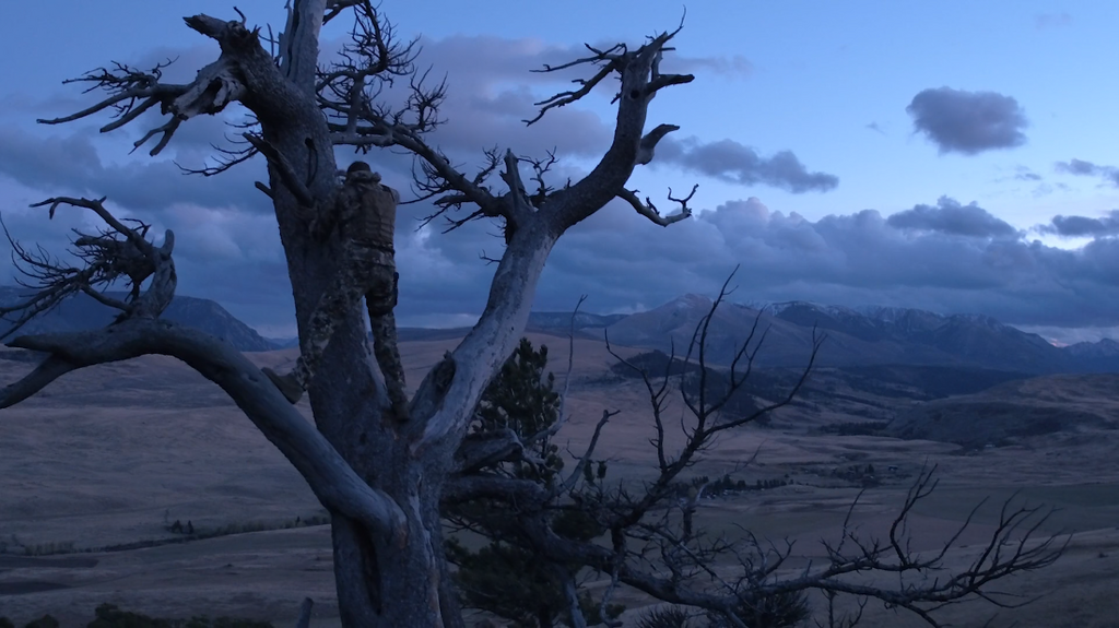 [Image: s0wel231bees.png]