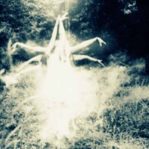 Obrazek