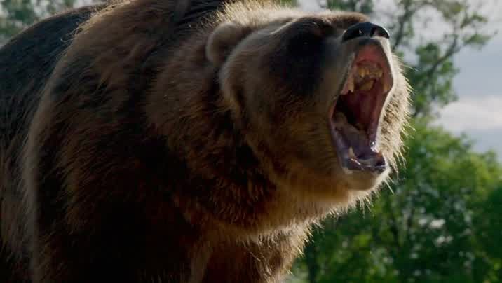 Man vs Bear S01E05 |  (x264) Ggp9qbh15kb1