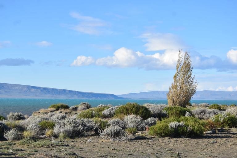 В джазе только девушки или аргентинско-бразильский калейдоскоп В джазе только девушки или аргентинско-бразильский калейдоскоп