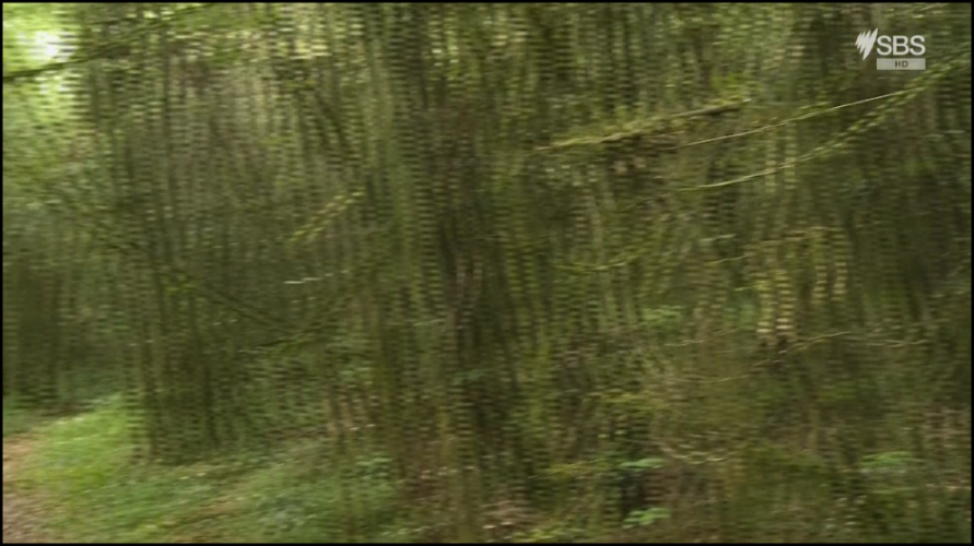 npx7q0r0ltf1.png