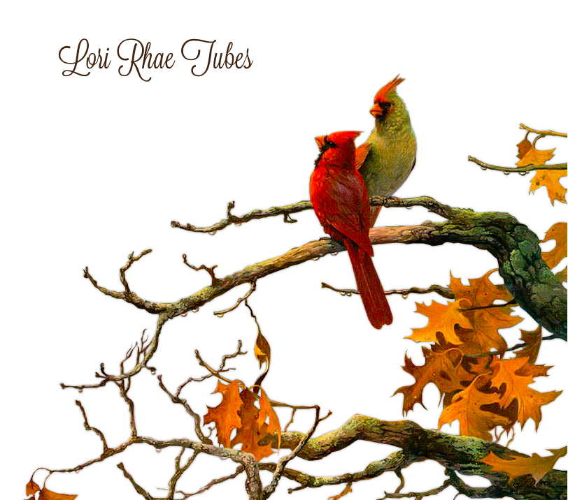 Autumn Cardinals_LR