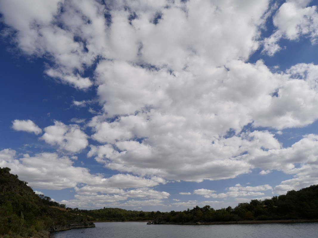 D0A9FE3B-F50C-4D1B-B588-F4EBE6391149