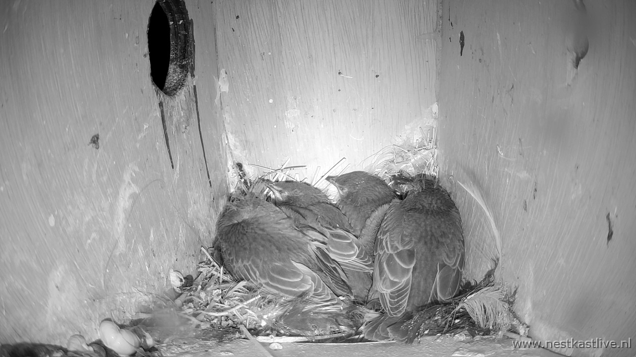 snapshot - 2025-05-13T014129.594