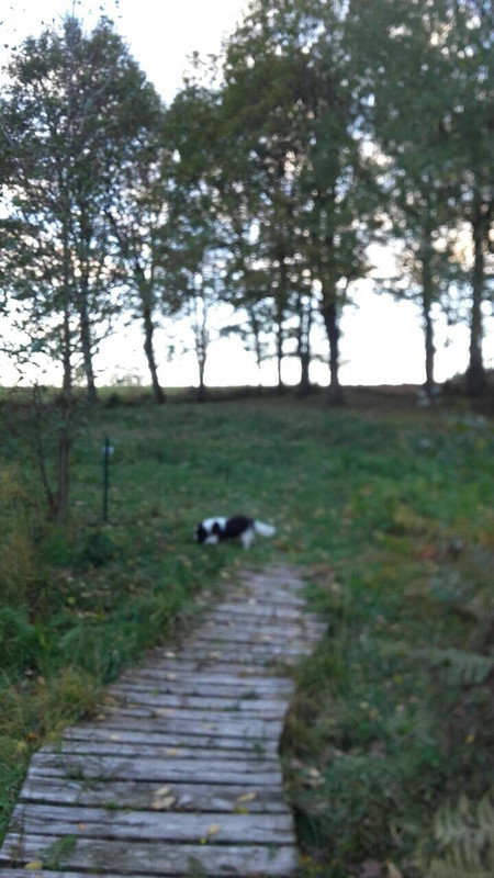 E82EA1AF-598D-4CD0-953A-E3D6C7BCF278