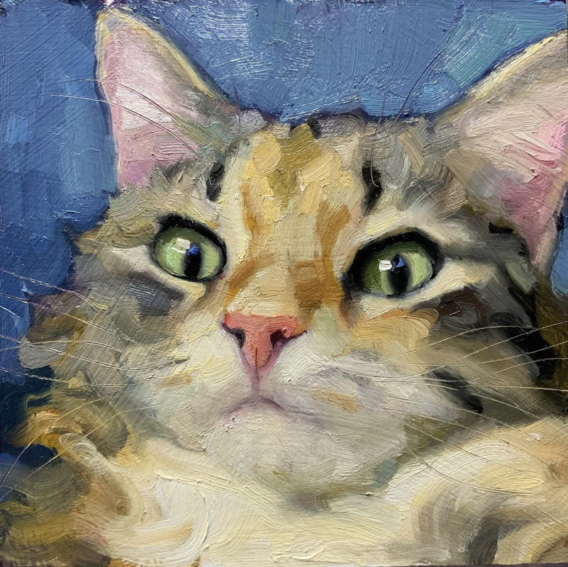 353042088_10160794554227140_6512094646179130392_n