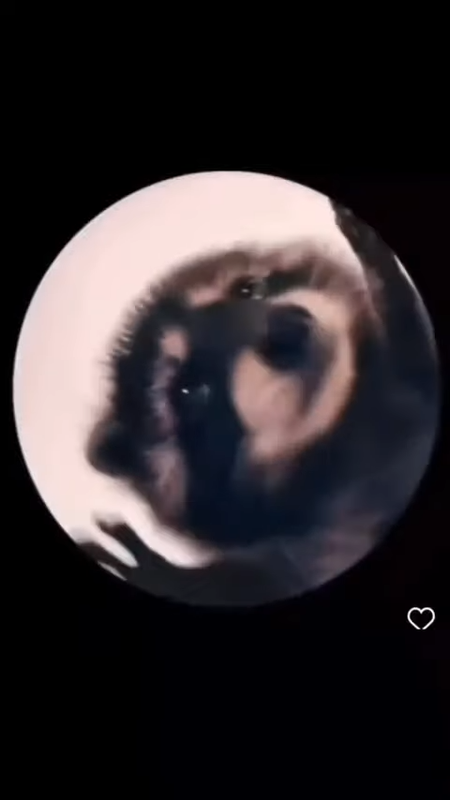 videoframe_1822